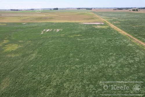 Campo En Venta Mixto De 246 Has En Saladillo