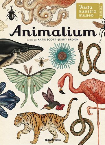 Libro Animalium De 9786077357223