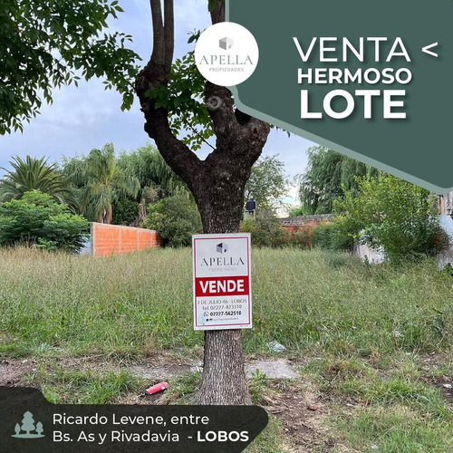 Venta - Lote