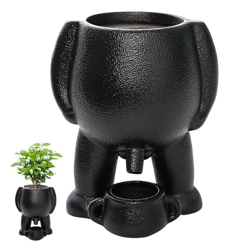 Maceta De Orinal Con Función De Drenaje