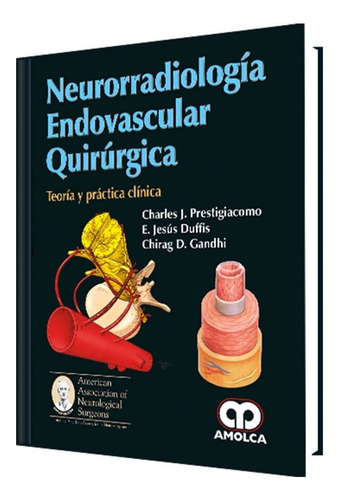 Neurorradiología Endovascular Quirúrgica. Teoría Y Práctica 
