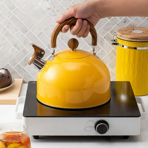 Whistling Kettle Stovetop Kettle 2.5 L Se Calienta