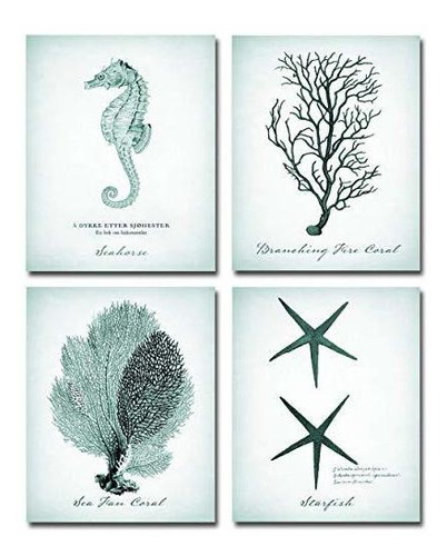 Corales, Estrellas De Mar, Seahorse Prints - Conjunto De Cua