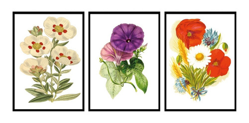 Cuadros Decorativos Floral 50x70