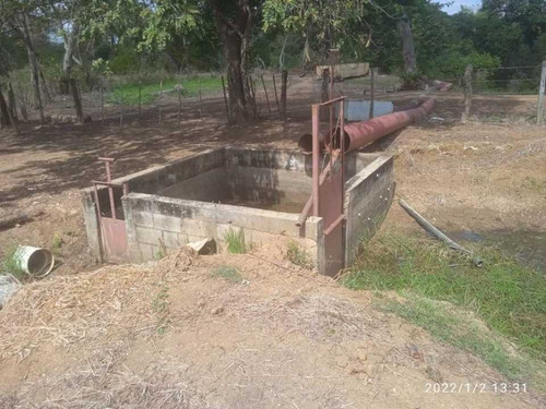 Imagen 16 de 28 de Finca En Venta Guarico