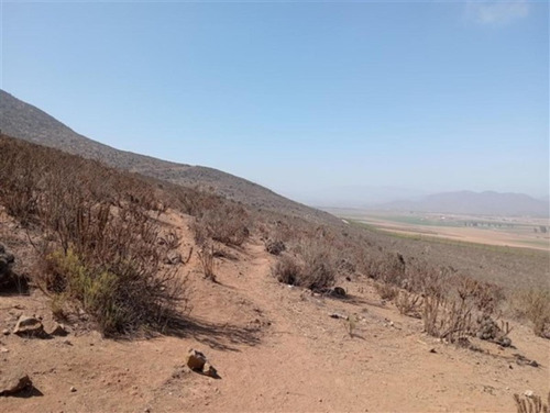 Terreno Agricola Ganadero 1.368 Has, Pan De Azúcar, Coquimbo