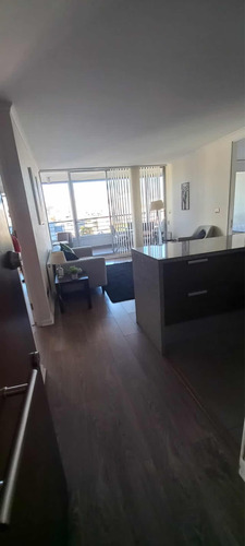 Arriendo Full Amoblado Ponientes 2d 2 B Año Corrido