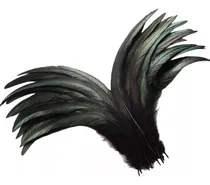 Comprar Plumas De Gallo Naturales En Negro Con 30 Plumas 25-30cm