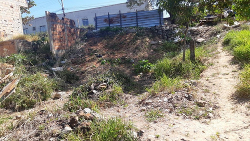 Imagem 8 de 12 de Lote Para Venda Em Ribeirão Das Neves, Bom Sossego - L13_1-2088493