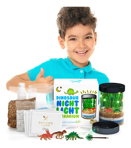 Kit De Terrario De Dinosaurio Para Ninos - Grandes Regalos P