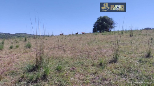 Imagem 11 de 30 de Fazenda A Venda No Bairro Centro Em Canguçu - Rs. - 2495-1