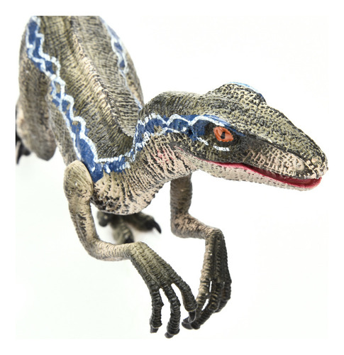 Figura Grande, Azul, Modelo Raptor, Modelo Dinosaurio De Jug