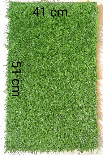 Seven Pet 1510 Tapete Entrenador Pasto verde 51cm x 41cm