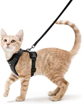 Comprar Arnés Y Correa Para Gatos Para Caminar, Arneses De Cha...