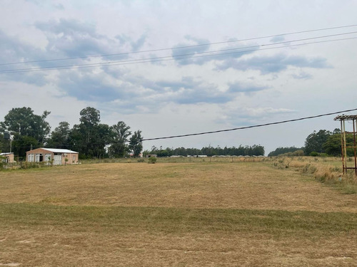 Lote En Venta Colonia Carolina Goya Corrientes