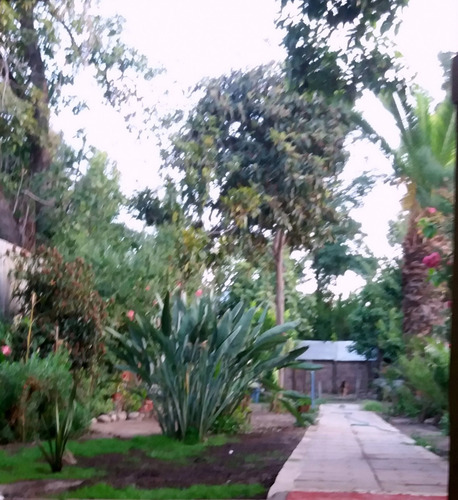 Imagen 6 de 7 de Casa De Gran Tamaño