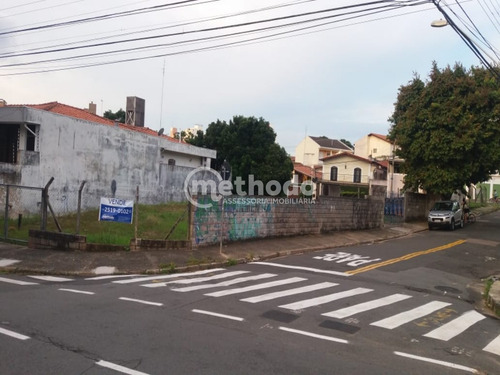 Terreno Comercial De Esquina No Jardim Proença Campinas - Sp - Te00228 - 69105741
