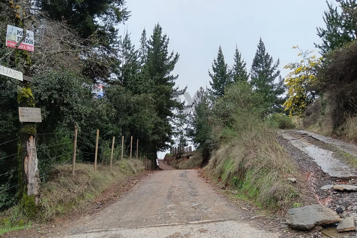 Imagen 4 de 30 de Tu Refugio En El Campo: Casa Con Entorno Natural