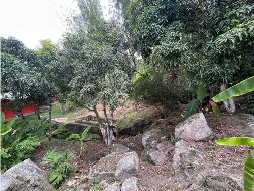 Venta Finca Mesitas Del Colegio