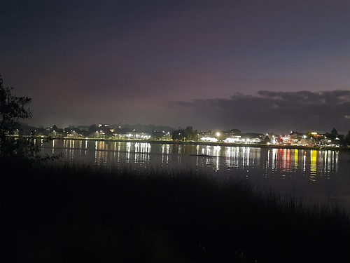 Invierter En La Perla Del Sur, Vasto Terreno En Valdivia