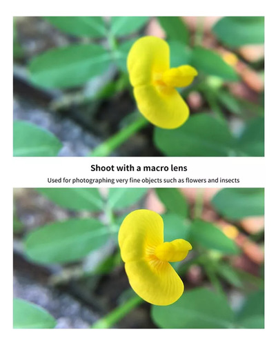 Lente Macro Dji Osmo Pocket 3 Para Cámara, Lente De Cámara C