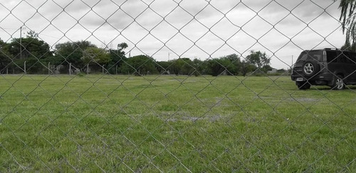 Imagen 5 de 13 de Galpón En Alquiler De 3000m2 Ubicado En Mi Granja