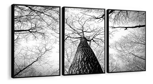 Kit Quadros Decorativos Paisagem Árvore Preto E Branco Sala Cor Da Armação Preto Cor Preto