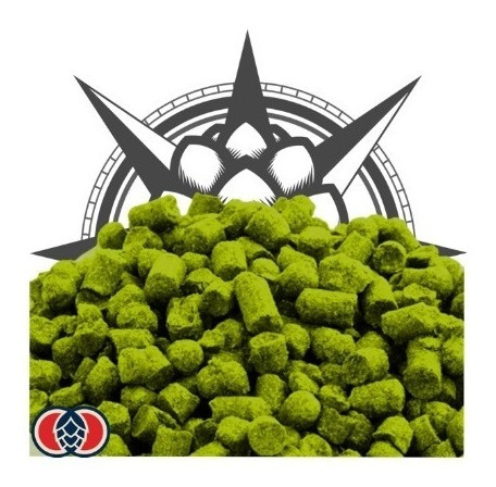 Lupulo Mosaic Yakima Chief Hops