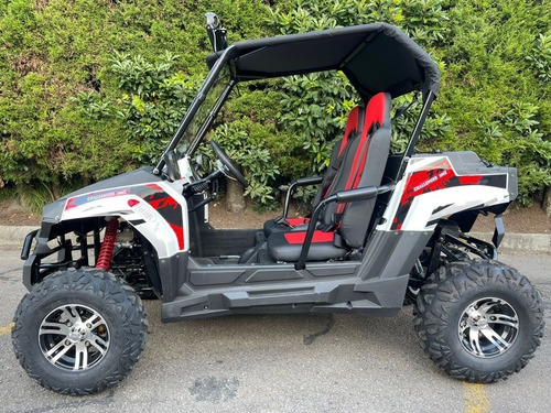 Imagen 9 de 15 de Buggie Cuatrimoto Trail 200cc Nuevo Diseño 2023