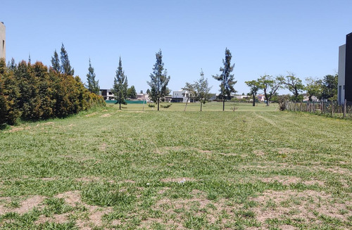 Venta Lote Al Golf - El Trebol - Haras Santa María