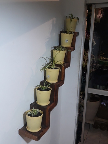 Imagem 1 de 5 de Projetos De Ornamentação De Hambientes
