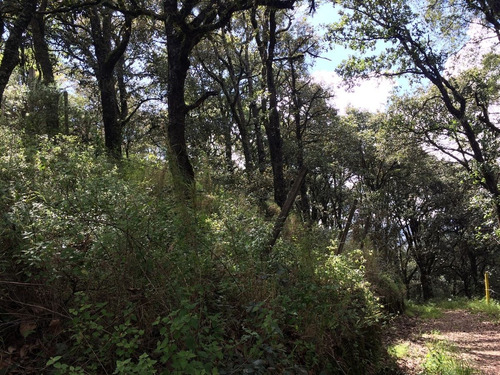 Imagen 2 de 2 de Vendo Terreno En Pueblo Mágico De Real Del Monte