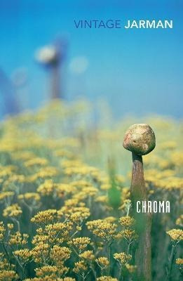 Libro Chroma : A Book Of Colour - June '93 - Derek Jarman