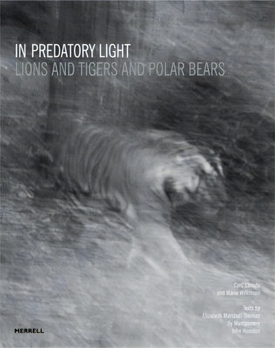 In Predatory Light, De Marie Wilkinson. Editorial Merrell Publishers Ltd, Tapa Dura En Inglés