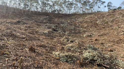 Imagem 1 de 14 de 34ei Terreno Igaratá Com Entrada Apenas De $ 5 Mil