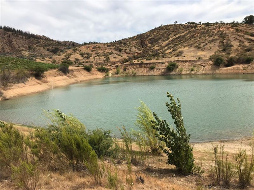 Imagen 5 de 10 de Agrícola En Venta En Pumanque Con Viñedo