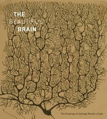 Beautiful Brain: The Drawings Of Ramon Y Cajal - Larry Sw...