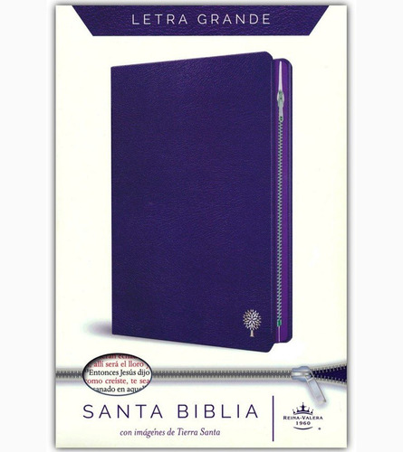 Biblia Rv60 Letra Grande,cierre E Imágenes De Tierra Santa