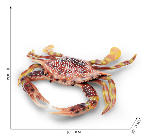 Modelo Simulado De Cangrejo De Animal Marino, Estilo C Para