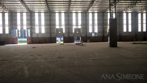 Imagen 4 de 8 de Excelente Nave Aaa De 11.500 M2 A Estrenar
