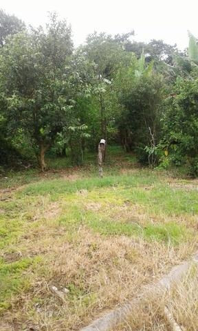 Chácara Com 6 Dormitórios À Venda, 400 M² Por R$ 480.000,00 - Forquilhas - São José/sc - Ch0063