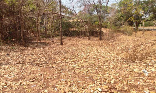 Imagem 8 de 17 de Terreno No Residencial Aldeia Do Vale - 2153