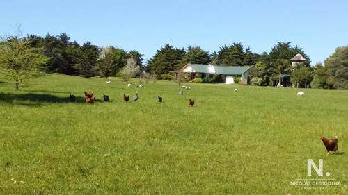 En Venta Chacra De 6hectareas En Jose Ignacio.