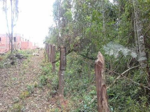 Imagem 4 de 4 de Cód 2940 - Ótimo Terreno Com 4.000 M². - 2940