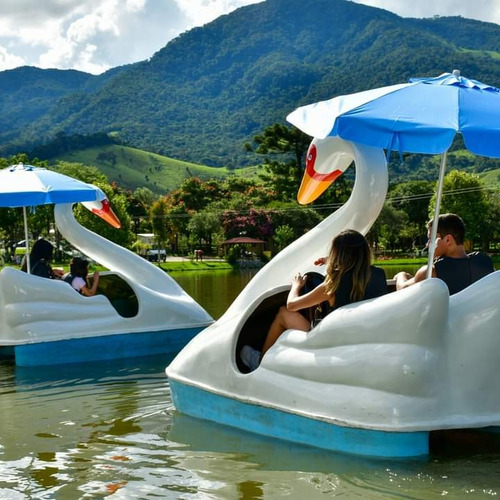 Pedalinhos Cisne De Fibra De Vidro