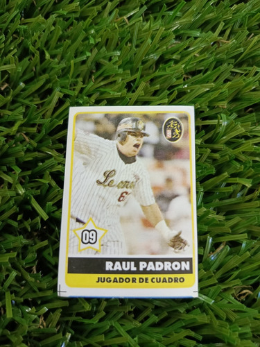 2001 Béisbol Profesional Venezolano Raúl Padrón #09