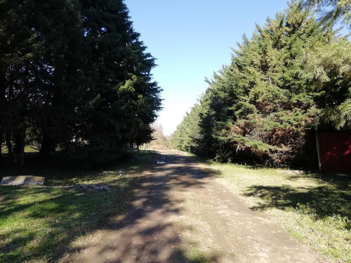Imagen 2 de 13 de Venta De 1 Hectárea En Pilar A Metros De Ruta 28