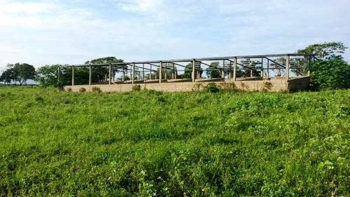 Imagen 9 de 16 de Venta Finca En Yaracal Estado Falcón