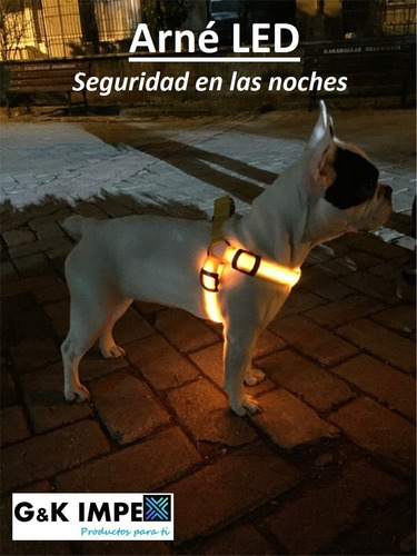 Arnés Led Para Mascotas