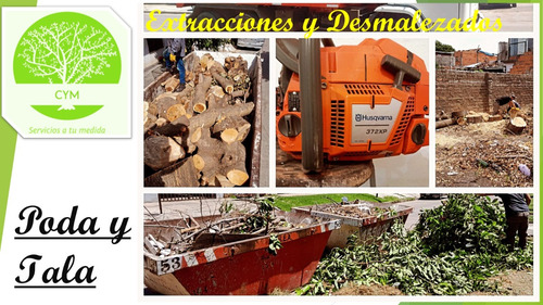 Poda De Árboles - Extracciones - Desmalezados